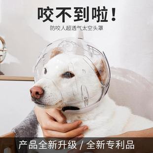 狗狗太空头罩宠物塑料狗伊丽莎白头套咬用品圈防透明项圈批发防护