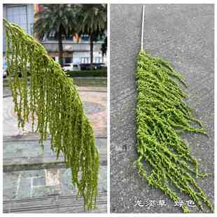 新品 新款仿真绿色龙须草 柔丽丝 白色垂吊情人泪婚礼软装假花