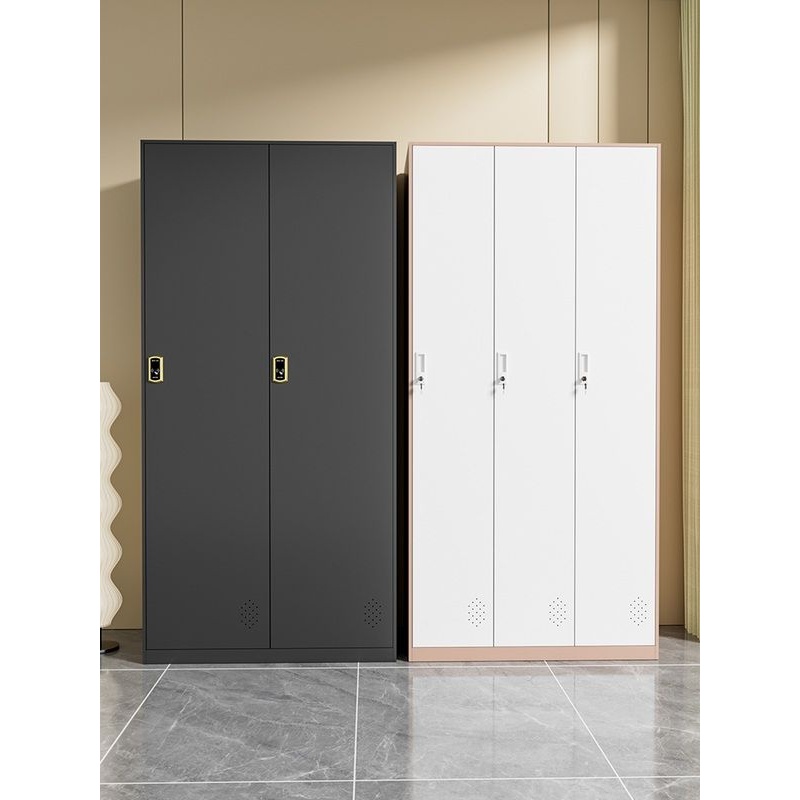 二门铁皮更衣柜带锁储物柜员工宿舍挂衣柜护士办公室换衣柜铁皮柜
