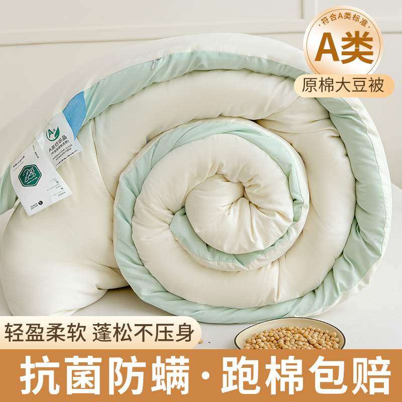 大豆被保暖冬被春秋被被大豆学生宿舍夏被子被纤维纤维加厚空调,床上用品,化纤被,淘宝优惠券,粉丝福利购,淘宝优惠卷