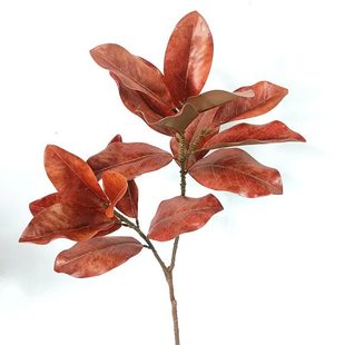 仿真玉兰叶现货批发仿真叶子花苞假玉兰叶碗花枝家居装饰仿真白