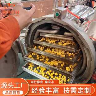 苹果脆片真空膨化机 苹果真空闪蒸机厂家 全自动真空果蔬干燥设备