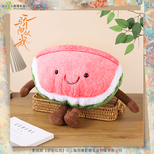 骄阳似我官方正版周边聂曦光西瓜抱枕