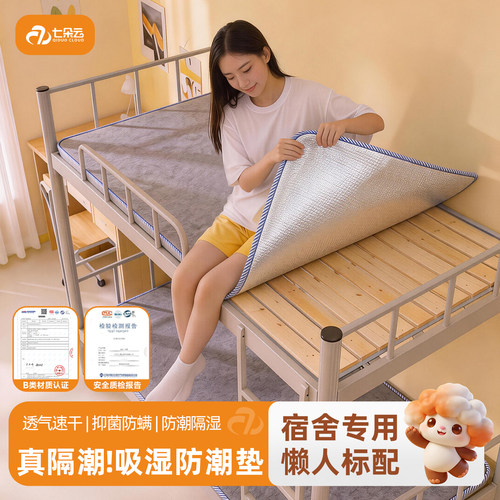 四季通用学生宿舍防潮垫防湿防霉隔脏防螨虫垫床上用毛毡垫榻榻米