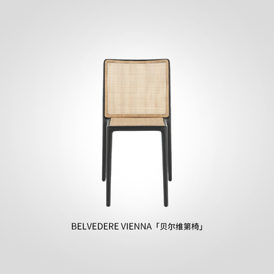 Kartell轻奢维也纳宫廷风简约家用餐椅艺术单椅BELVEDERE VIENNA