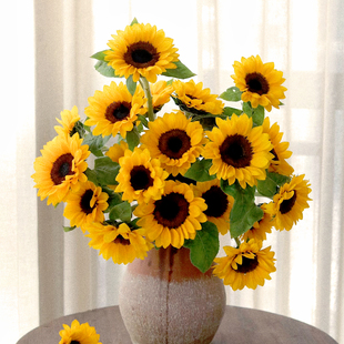 向日葵云南昆明基地直发迷你重瓣泰迪鲜切花生日婚礼家用水养 包邮