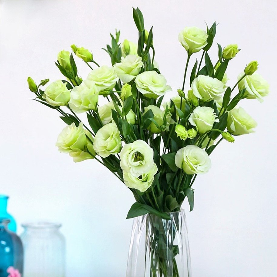 洋桔梗鲜花云南鲜花龙胆花束鲜切花家用水养花瓶插花卉包邮,鲜花速递/花卉仿真/绿植园艺,花材,淘宝优惠券,粉丝福利购,淘宝优惠卷