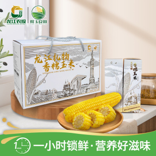 黑龙江原产地鲜玉良田鲜食玉米龙江礼物拎手礼盒黄糯玉米200g*10