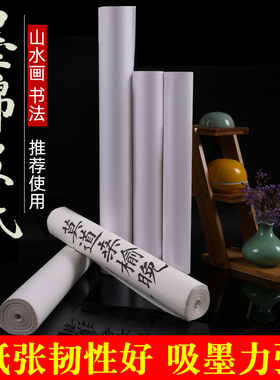 经典墨棉皮纸白色长卷生宣纸细腻书法纸专业级画皮纸桑皮纸竹皮纸