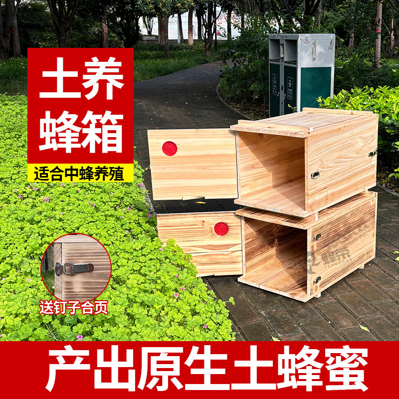 老式双开门优质杉木土养蜂箱中蜂巢框加厚蜂王蜜蜂饲喂器