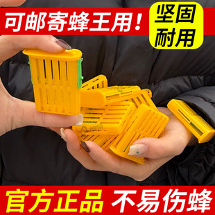 蜂具储王器介王笼塑料囚王笼防逃工具中蜂意蜂专用隔王养蜂配件