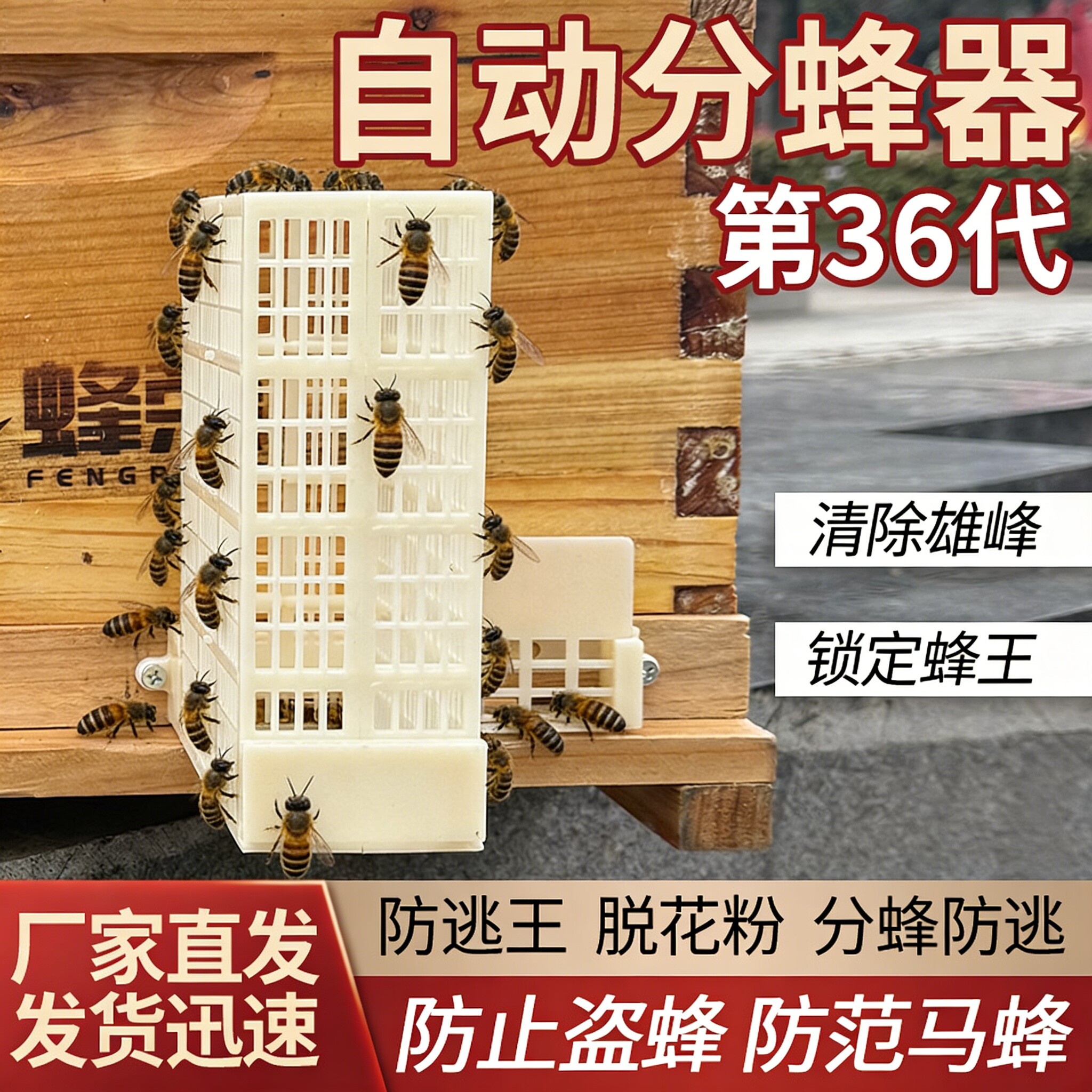 全新升级第三十六代分蜂器中蜂专用全自动单向防逃蜂王分蜂率提升