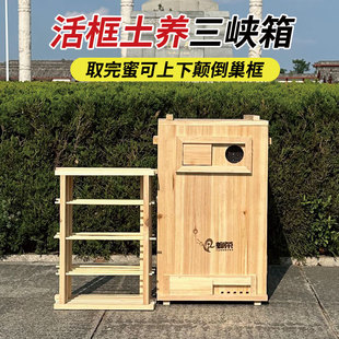 土养立式三峡蜂箱可颠倒诱蜂桶配件齐全内含可拆卸巢框成品发货