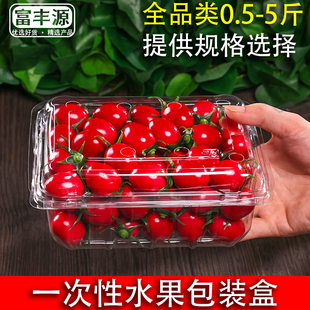 透明一次性水果包装 盒有盖500克果蔬盒PET塑料鲜果切打包水果盒子