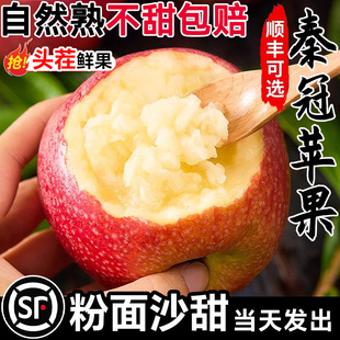 陕西秦冠粉面沙甜苹果水果新鲜婴儿老人宝宝刮泥当季整箱10斤应季