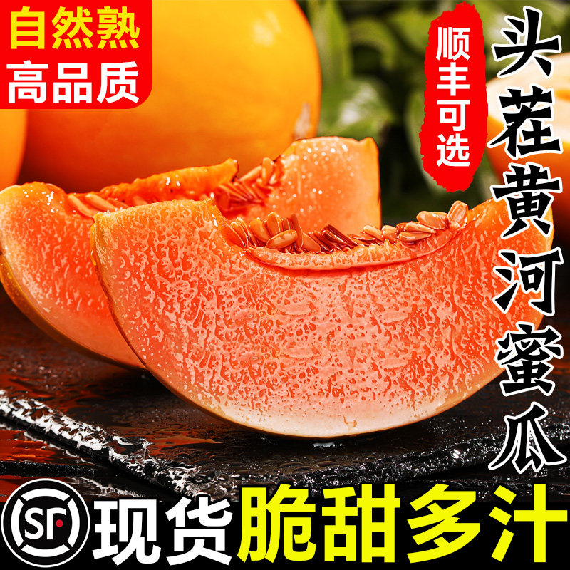 黄河蜜甜瓜时令水果新鲜当季整箱应季阎良甜瓜香瓜甘肃民勤哈蜜瓜