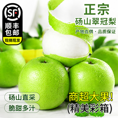 正宗翠冠梨！吃一口忘不了