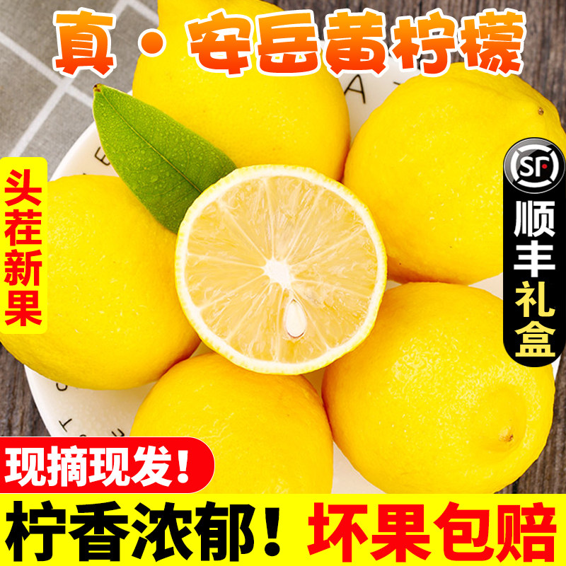 【官方力荐】四川安岳黄柠檬
