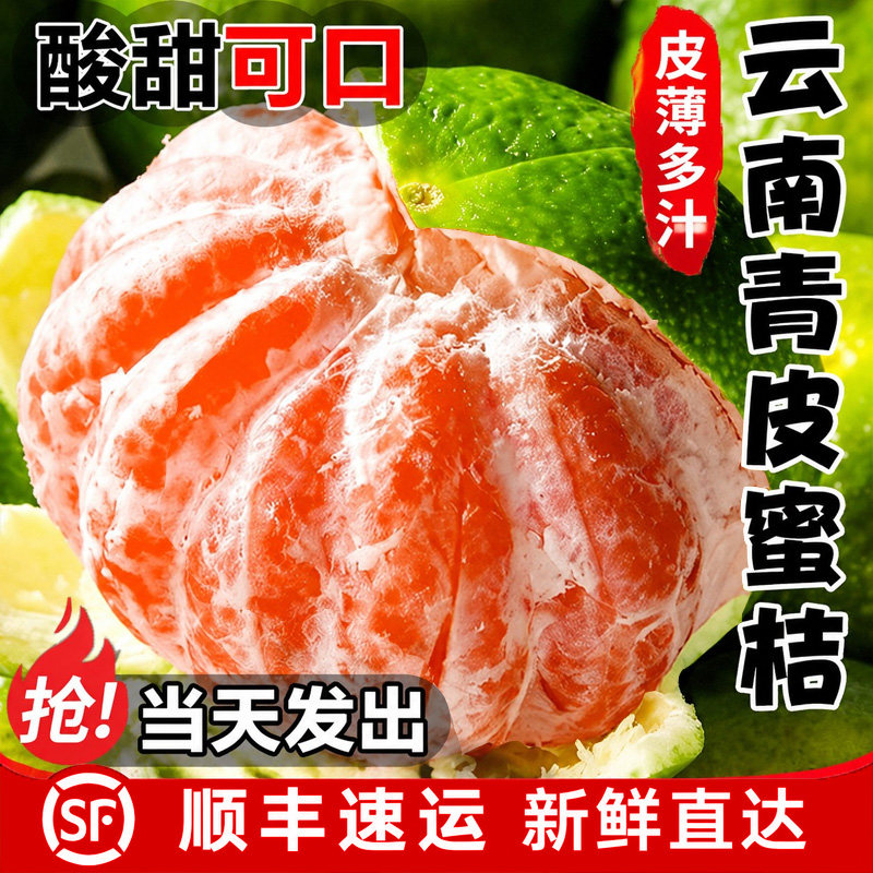 云南青皮橘子新鲜桔子水果蜜橘小青柑桔当季整箱无籽现摘新鲜柑橘