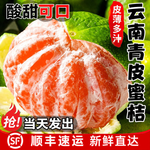 【官方力荐】现摘青皮蜜桔