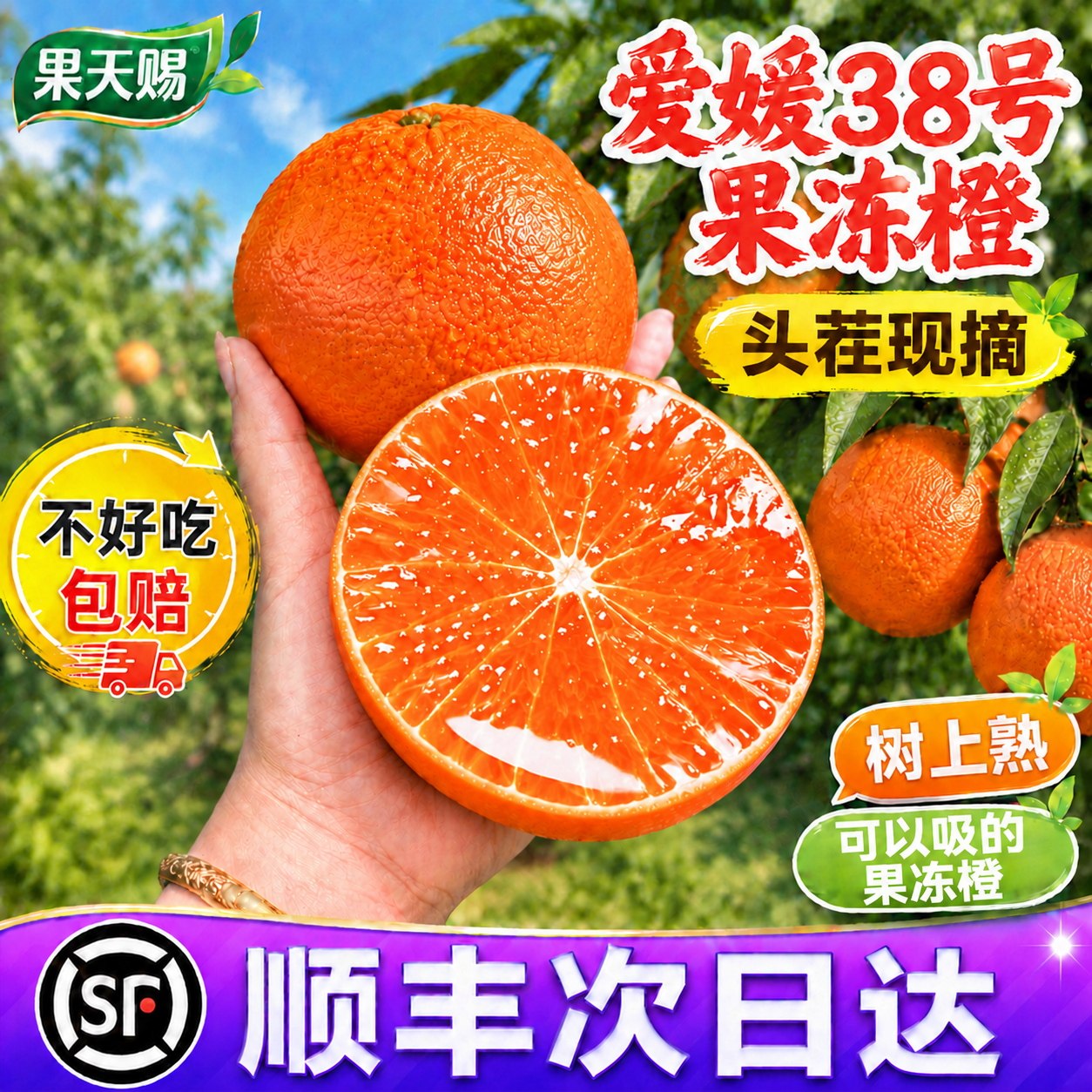 四川爱媛38号果冻橙子甜橙当季新鲜水果整箱手剥榨汁官方旗舰店