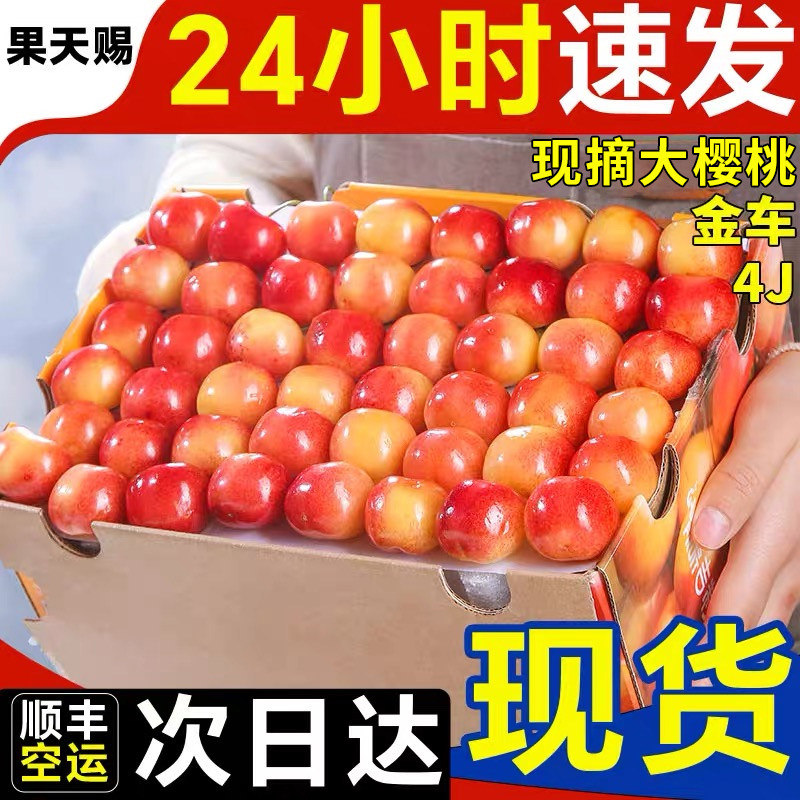 大连佳红黄樱桃新鲜水果车厘子5斤装礼盒5j6j官方旗舰店顺丰空运