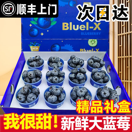次日达！新鲜蓝莓礼盒