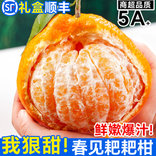 正宗四川春见耙耙柑现摘发货粑粑柑桔子丑柑橘应季水果官方旗舰店