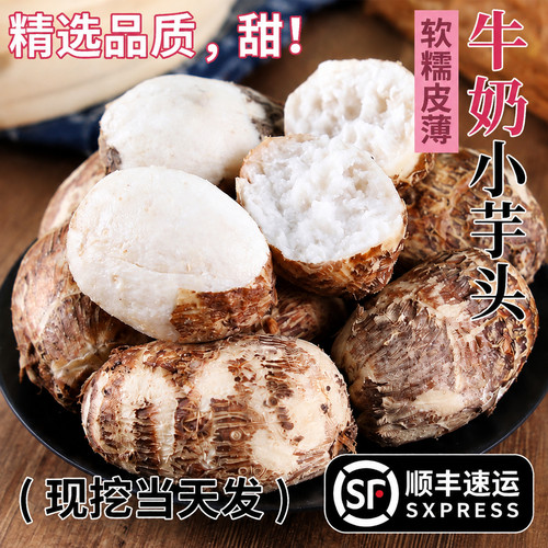 云南牛奶小芋头小香芋新鲜粉糯芋艿芋子毛芋头官方旗舰店奶油香