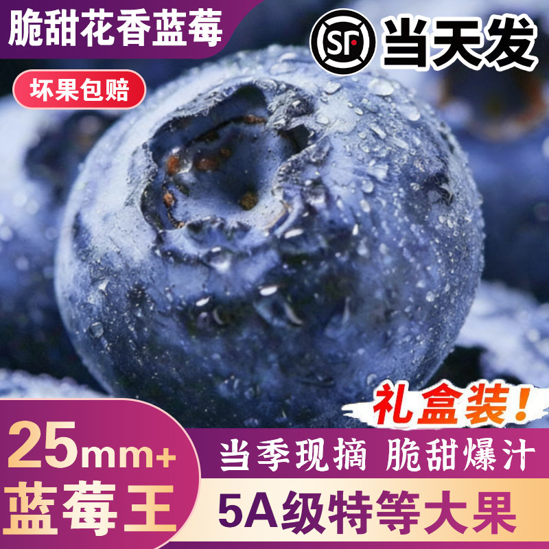 云南花香蓝莓新鲜水果当季蓝莓特大果怡颗蓝莓礼盒官方旗舰店L25