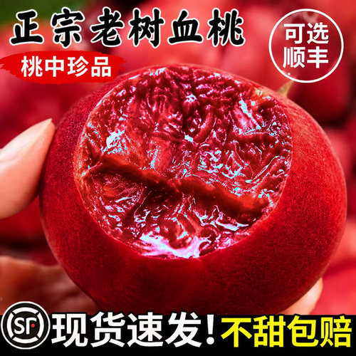 【官方力荐】正宗老树血桃