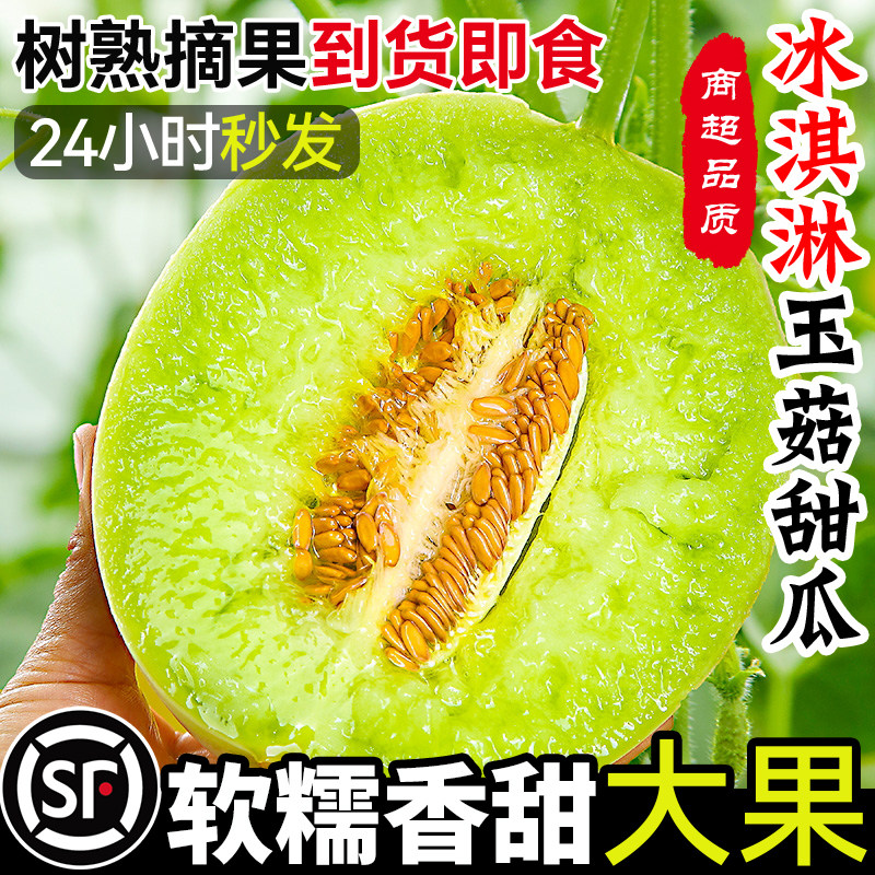 【官方推荐】5A级冰淇淋玉菇甜瓜