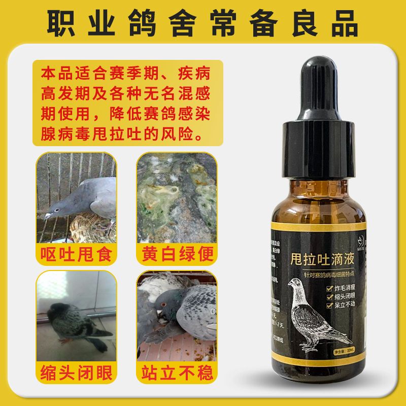 甩拉吐腺病毒嗉囊炎吐食甩食积食拉稀黄白绿便抗病毒特效鸽子药品