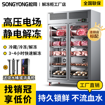 高压静电解冻商用低温冷藏