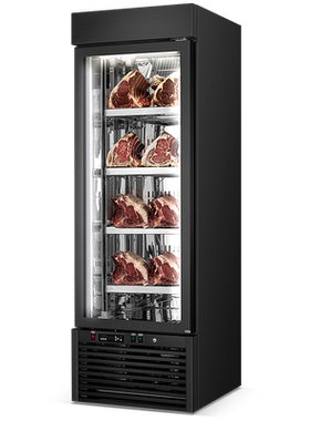 干式熟成商用牛肉排冷冻柜