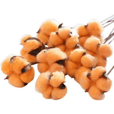 diy艺术松果永生木棉材料干花