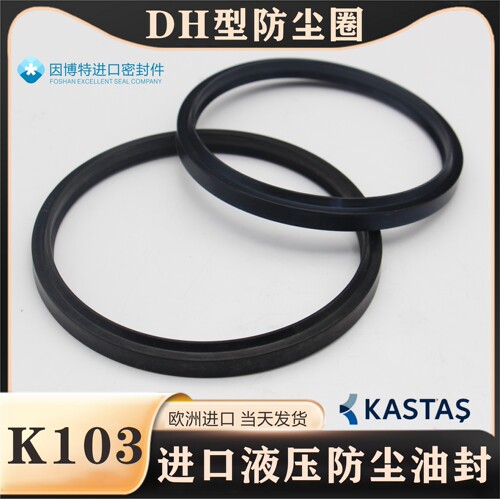 欧洲KASTAS进口K103DH防尘油封