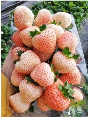 网友分享在meiguo.com的图片