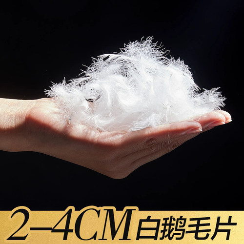 水洗2-4cm白鹅毛片清洁无异味 沙发 枕芯 坐垫 填充羽绒羽毛批发