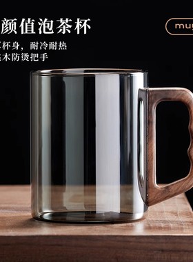 忆壶茶新款玻璃杯带把手办公室泡茶杯绿茶专用杯子耐高温喝水杯子