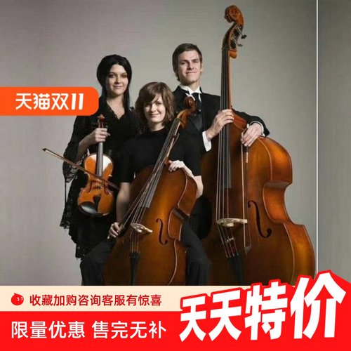 浩成大贝司低音提琴倍大提琴低音大贝司大贝斯儿童成人 专业 演奏