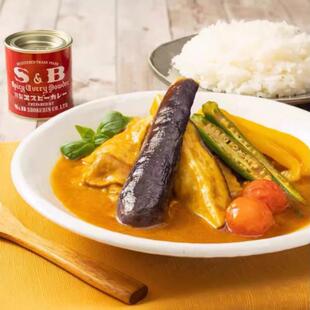 SB咖喱粉 混合金牌日本咖喱饭日本进口爱思比30种香料咖喱牛肉