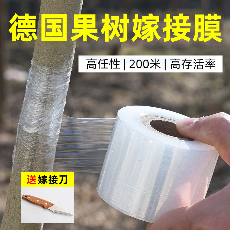 德国果树嫁接膜专用膜园林自粘式PE无需打结薄膜包扎带缠绕膜胶带,鲜花速递/花卉仿真/绿植园艺,芽接刀,淘宝优惠券,粉丝福利购,淘宝优惠卷
