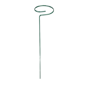 植物支撑杆兰花护叶枝龟背竹海芋专用园艺扶持架花卉防倒伏固定器