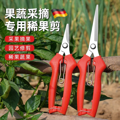 德国疏果剪刀摘茄子园艺剪子摘果专用工具剪蔬菜葡萄稀果神器辣椒