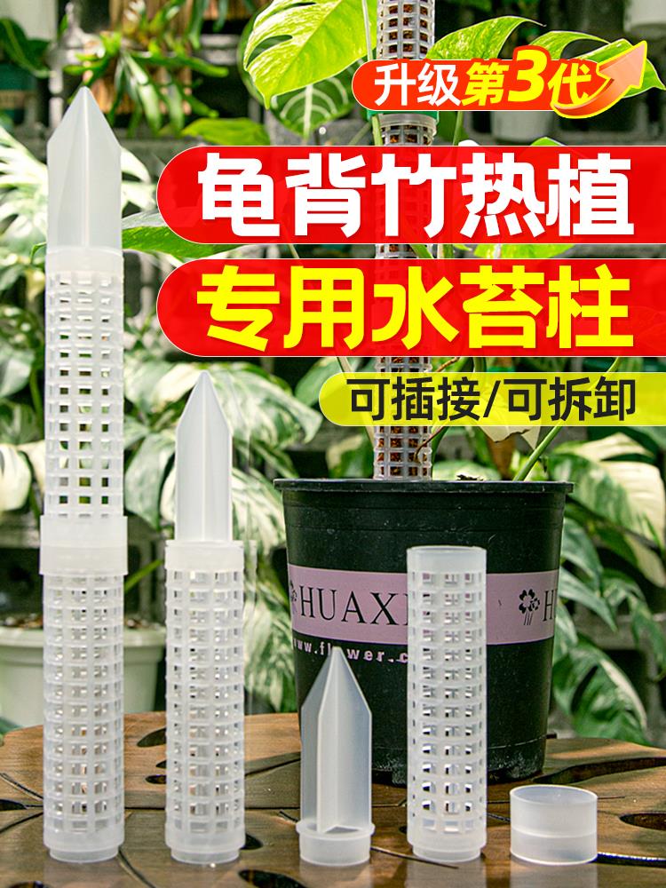 龟背竹水苔柱可热植专用支撑杆花架拼接白龟蔓绿绒新型植物攀爬柱