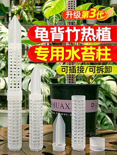 龟背竹水苔柱可热植专用支撑杆花架拼接白龟蔓绿绒新型植物攀爬柱