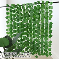 48 листовой виноградный лист 12