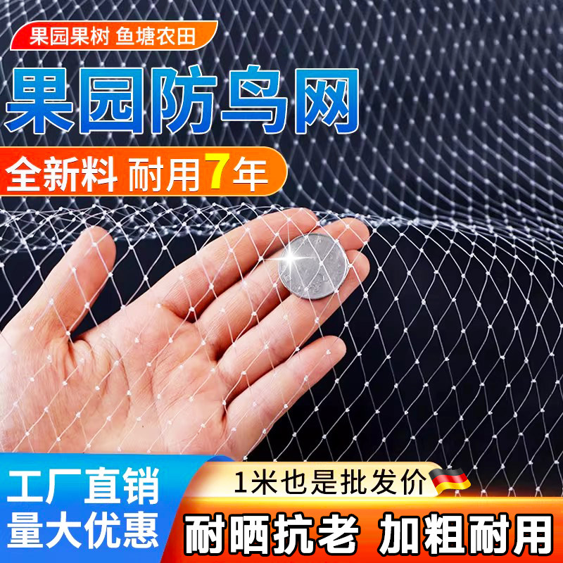 防鸟网果园果树大棚尼龙网樱桃树葡萄园防护网防鸟专用网鱼塘天网