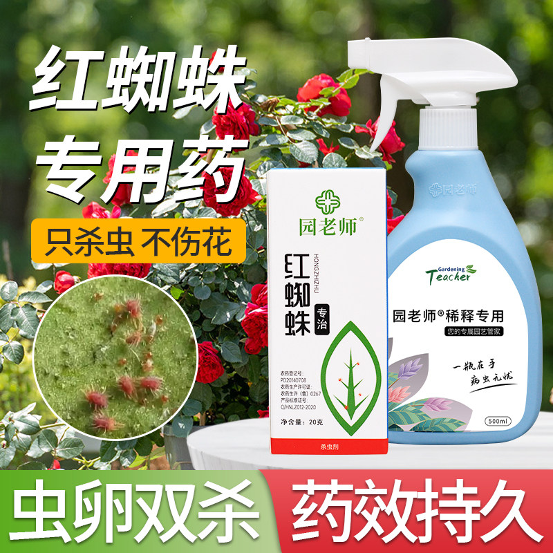 红蜘蛛专用杀虫剂月季花病虫害常用药蚜虫多肉植物玫瑰花虫卵双杀